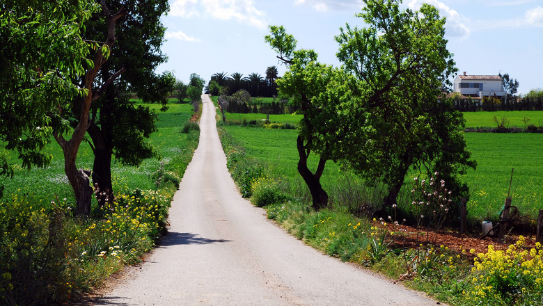 A small road in the majorcan countryside
