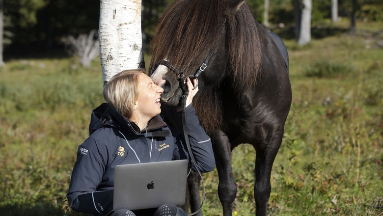 En glad kvinna arbetar med datorn bredvid en häst