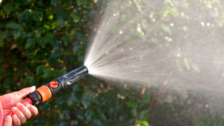 Water spraying from a garden hose in hand