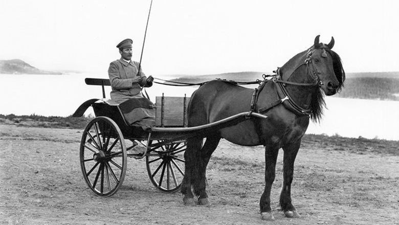 En häst med vagn och kusk.