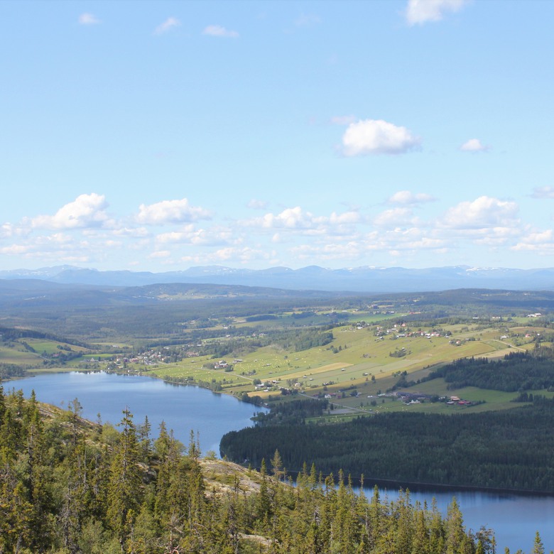 Utsikten från Hällbergets topp