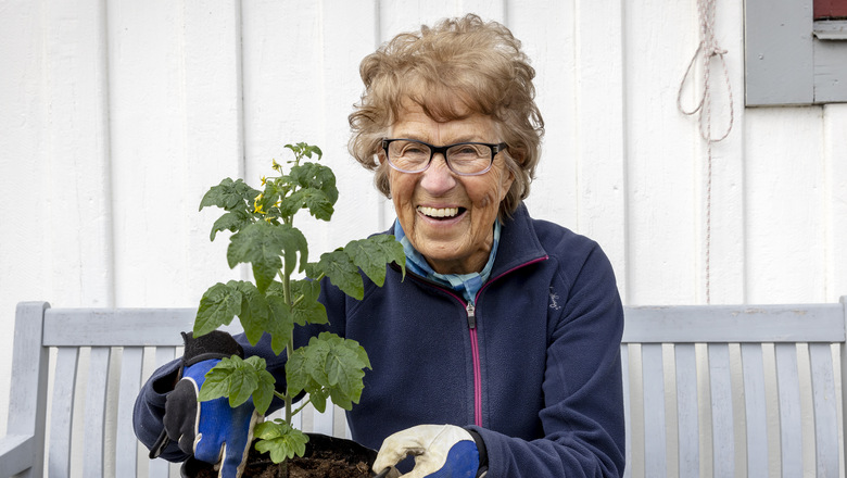 Äldre kvinna som planterar grönsaker i en kruka och ler. 