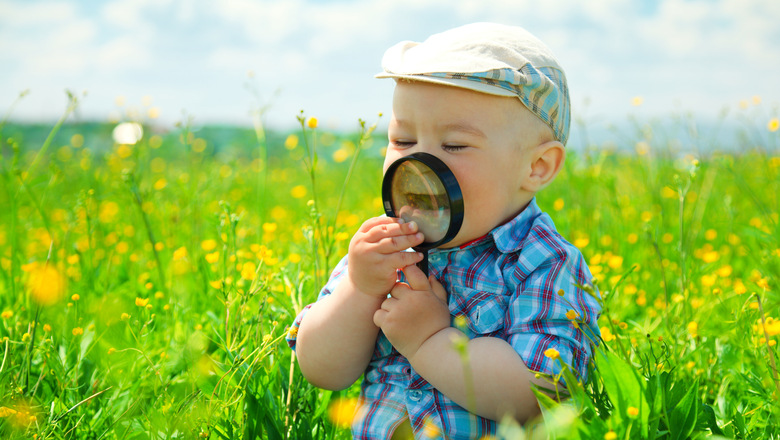 Little boy is playing with magnifying glass on green meadow