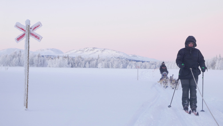 Två personer i vintrigt landskap med hundspann