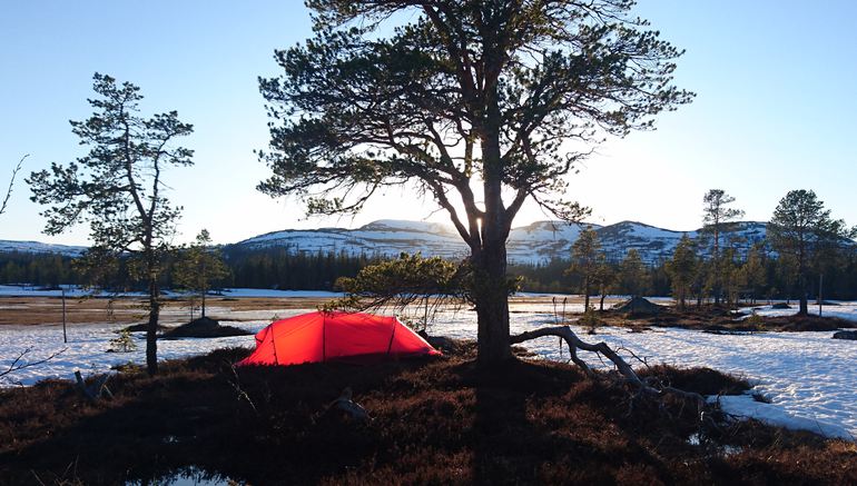 ett rött tält invid en tall i bakgrunden syns ett snötäckt fjäll